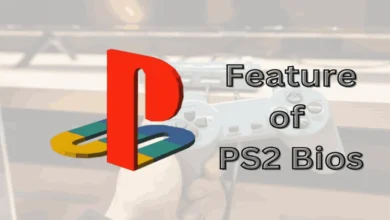 PS2 BIOS USA