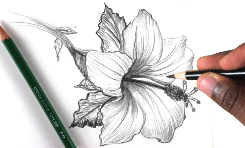 Flower Drawing Hard